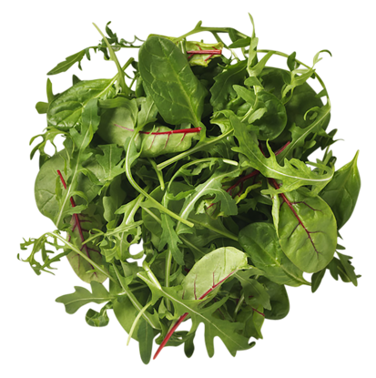 SALLAD-NAPOLITANA-4X500G-CC Picture of SALLAD NAPOLITANA 4X500G