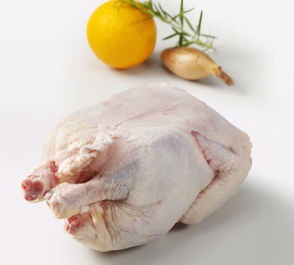 KYCKLING-HEL-8X1-6KG-KYLD Picture of KYCKLING HEL SE 8X1,6KG