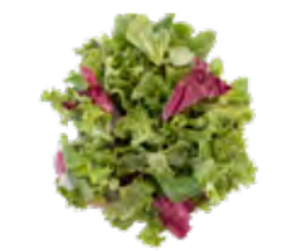 Show details for SALLAD PROVENCE 4X500G Picture of SALLAD PROVENCE 4X500G