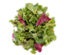 Picture of SALLAD PROVENCE 4X500G