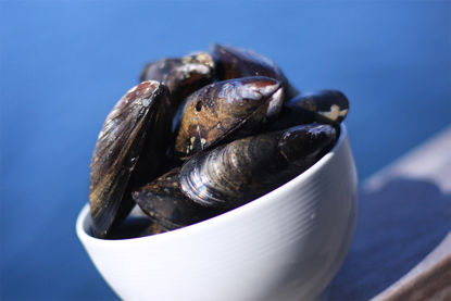 Picture of MUSSLOR BLÅ SKAL CL ASC 5X1KG