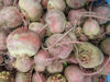 Picture of POLKABETOR SE 15KG