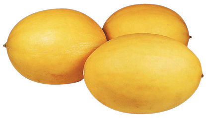 Picture of MELON HONUNGS ES 12KG