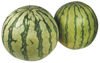Picture of MELON VATTEN ES 18KG