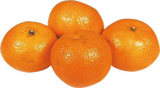 Picture of SATSUMAS ZA 10KG