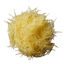 Picture of POTATIS RIVEN 1,1MM 5KG