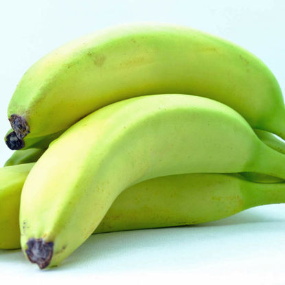 Show details for BANAN EKO 3:A EC 18,5KG Picture of BANAN EKO 3:A EC 18,5KG