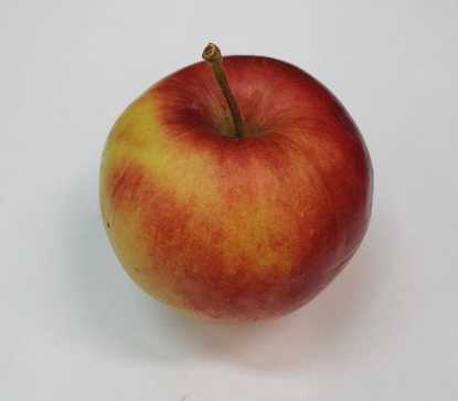 Show details for ÄPPLE ELISE SE 11KG Picture of ÄPPLE ELISE SE 11KG