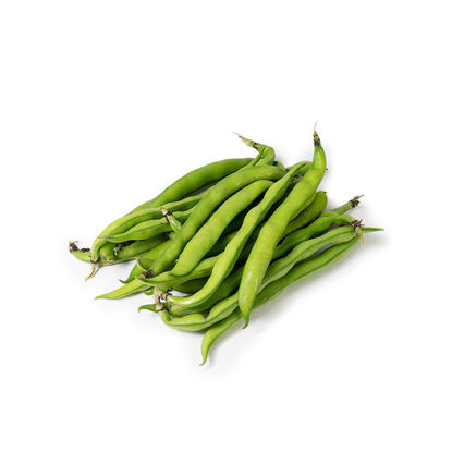 Show details for HARICOT VERTS KE 12X250G Picture of HARICOT VERTS KE 12X250G
