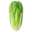 Picture of ROMANSALLAD SE 10ST