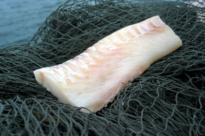 KOLJARYGG-110-130G-MSC-5KG Picture of KOLJARYGG MSC 110-130G/5KG