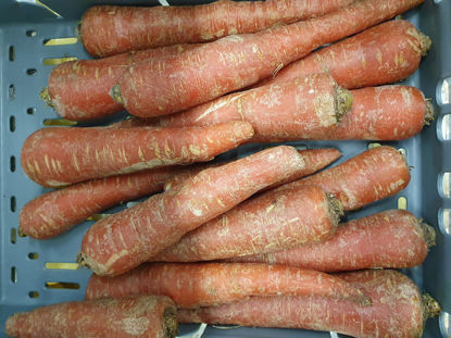 Picture of MORÖTTER RÖD EU 6KG