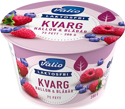 KVARG-HALLON-BLABAR-L-FRI-6X2D Picture of KVARG HALLON/BLÅBÄR L-FRI 6X2D