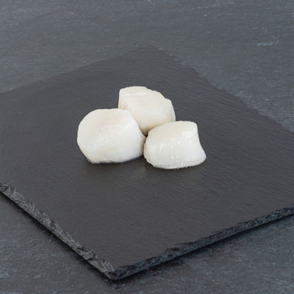 KAMMUSSLA-U-R-MSC-10-20-10X1KG Picture of KAMMUSSLA U R MSC 10/20 10X1KG