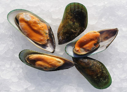 MUSSLOR-GRONA-M-SKAL-10X1KG Picture of MUSSLOR GRÖNA M SKAL 10X1KG
