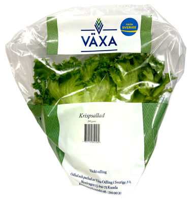 Picture of CRISPSALLAD SE LARGE 8ST