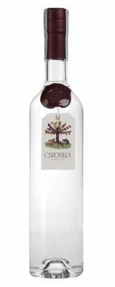 Picture of CAPOVILLA BRUNELLO 6X50CL 44%