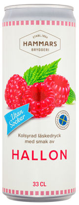 Picture of LÄSK HALLON U SOCKER BRK 24X33
