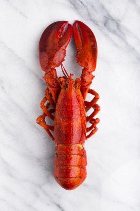 HUMMER-HEL-MSC-KANADA-10X400G Picture of HUMMER HEL MSC KANADA 10X400G