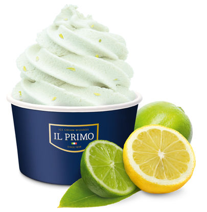 SORBET-LIME-CITRON-18ST-ONE-SH Picture of FROZEN FRUIT LIME/CITRON 18ST