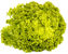Picture of SALLAD LOLLO BIONDA SE L 8ST